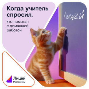 Знания в подарок: новосибирцы могут выиграть подписку на &laquo;Ростелеком Лицей&raquo;