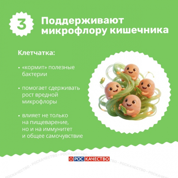 Легче,&nbsp;полезнее,&nbsp;вкуснее:&nbsp;зачем&nbsp;дополнять&nbsp;мясо&nbsp;зеленью&nbsp;и&nbsp;овощами
