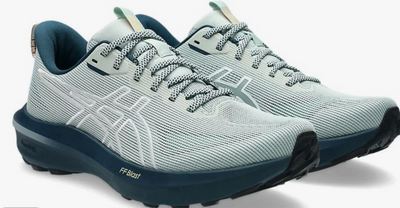 Asics GT-1000 14