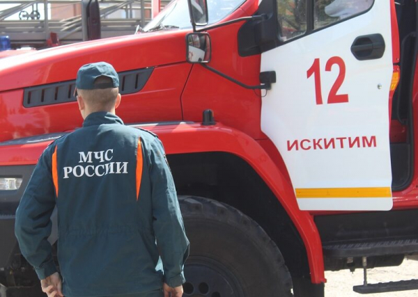 Три десятка возгораний травы и мусора зарегистрировано в Искитиме
