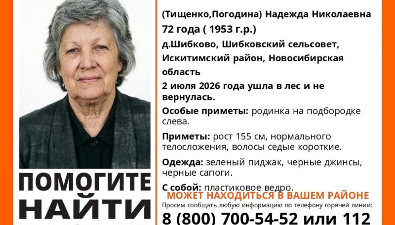 Ушла в лес и не вернулась: поисковики ищут жительницу села Шибково