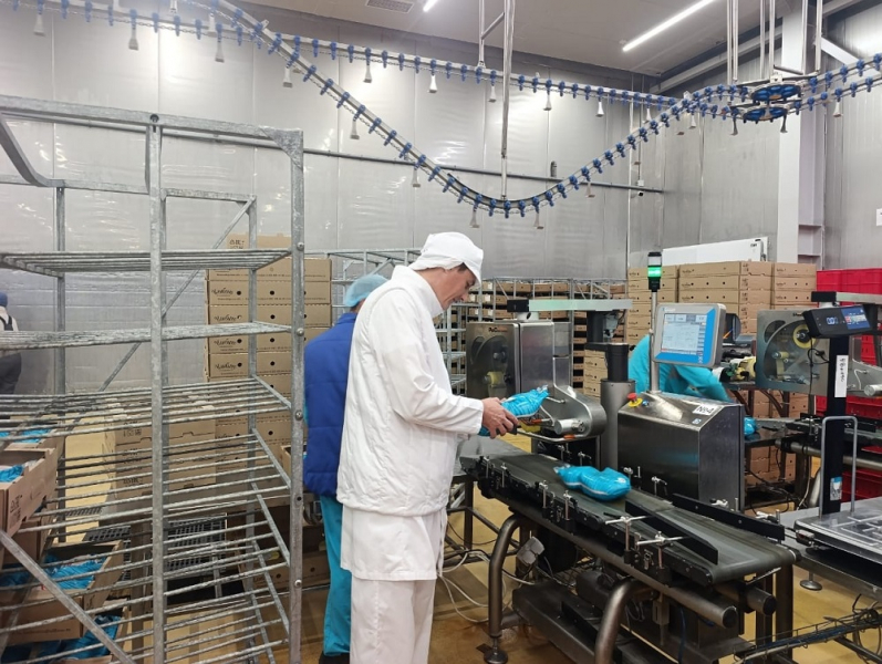 Главный по безопасности ежедневно контролирует качество продукции птицефабрики