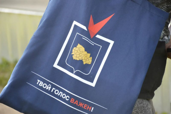 Под гармошку проходит информирование о выборах в Искитимском районе
